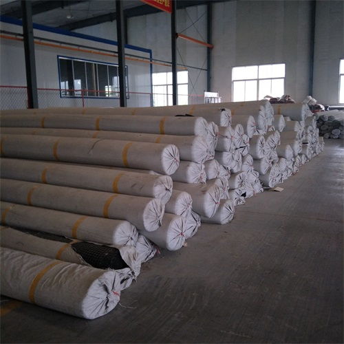 遵義鋼塑土工格柵規(guī)格詳解